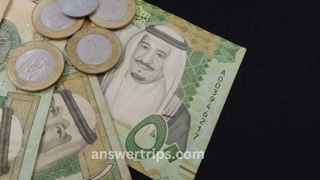 كم تكلفة السفر إلى ألمانيا بالريال السعودي